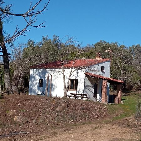 Viviendas Rurales Del Robledo Castano de Robledo Dış mekan fotoğraf