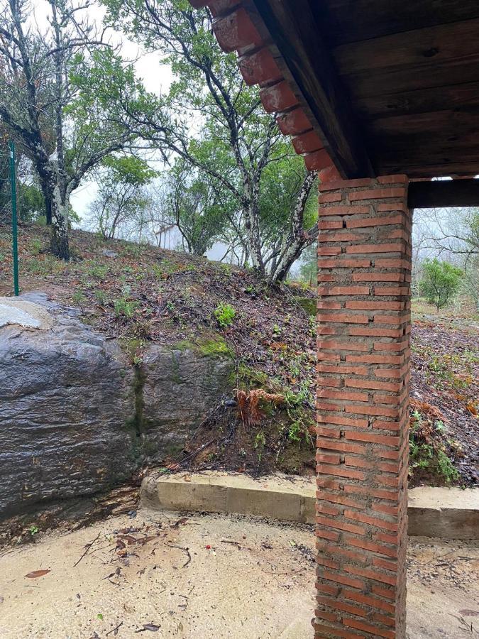 Viviendas Rurales Del Robledo Castano de Robledo Dış mekan fotoğraf
