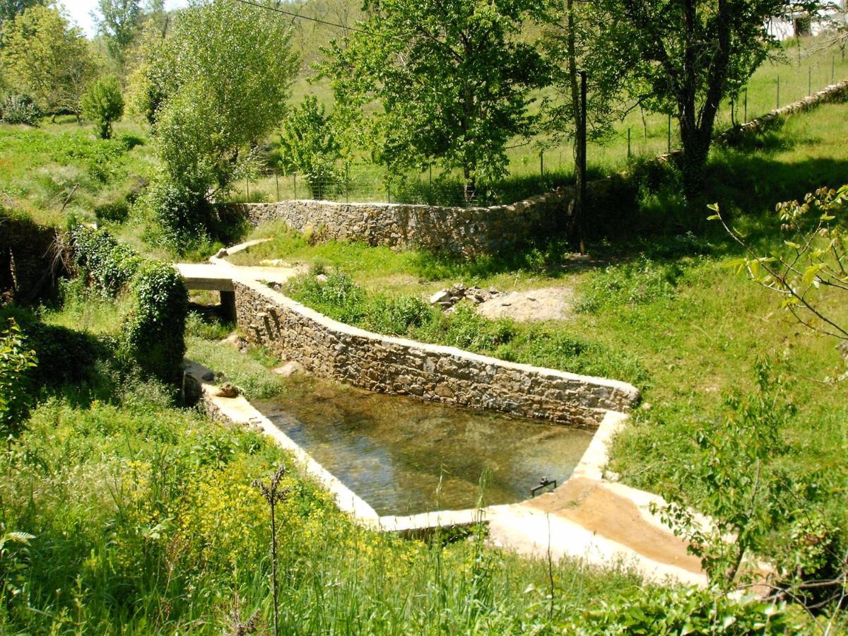 Viviendas Rurales Del Robledo Castano de Robledo Dış mekan fotoğraf