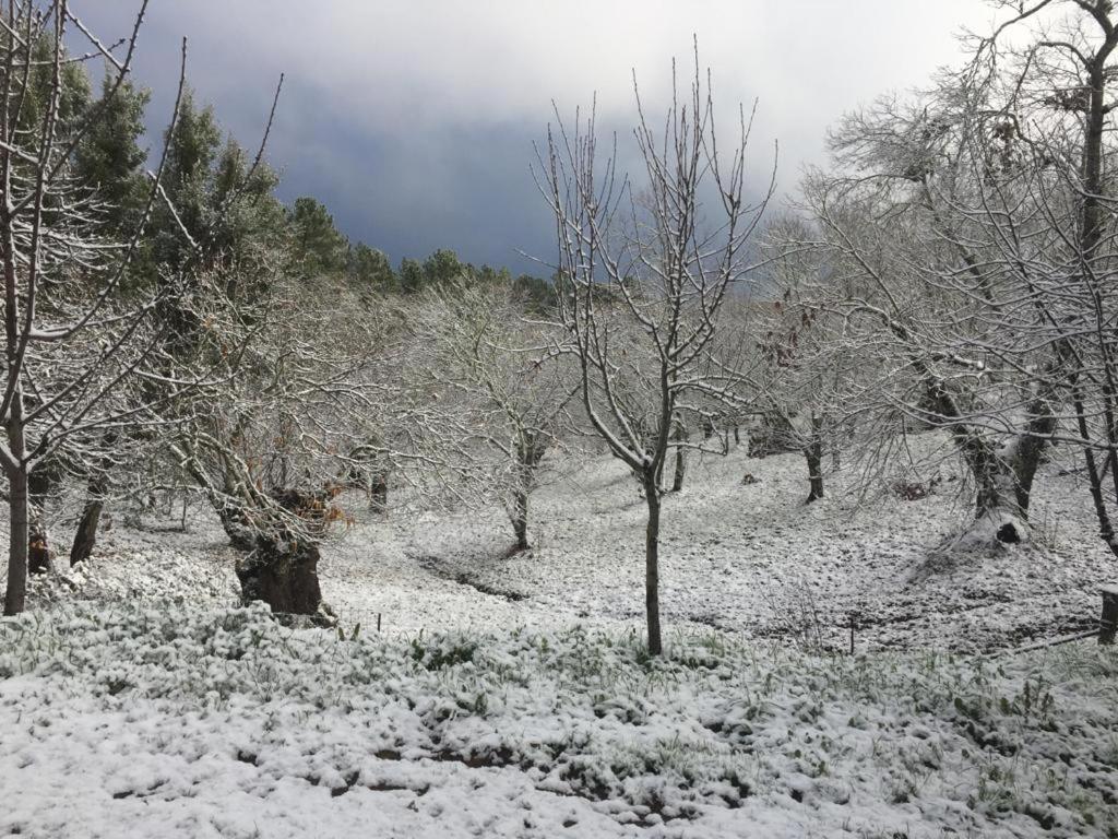 Viviendas Rurales Del Robledo Castano de Robledo Dış mekan fotoğraf